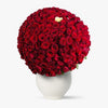 Buchet 229 Trandafiri Rosii - Dragoste Fara Limite