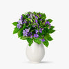 Buchet De 21 Frezii Mov