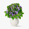 Buchet De 35 Frezii Mov