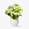 Buchet De 41 Frezii Albe