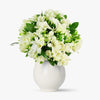 Buchet De 51 Frezii Albe