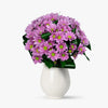 Buchet De 11 Crizanteme Roz