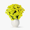 Buchet De 11 Crizanteme Galbene