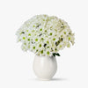 Buchet De 15 Crizanteme Albe