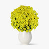Buchet De 25 Crizanteme Galbene