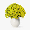 Buchet De 35 Crizanteme Galbene