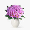 Buchet De 35 Crizanteme Roz