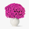 Buchet De 101 Crizanteme Roz