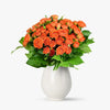 Buchet De 19 Minirosa Portocalii