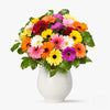 Buchet De 75 Gerbera Multicolore