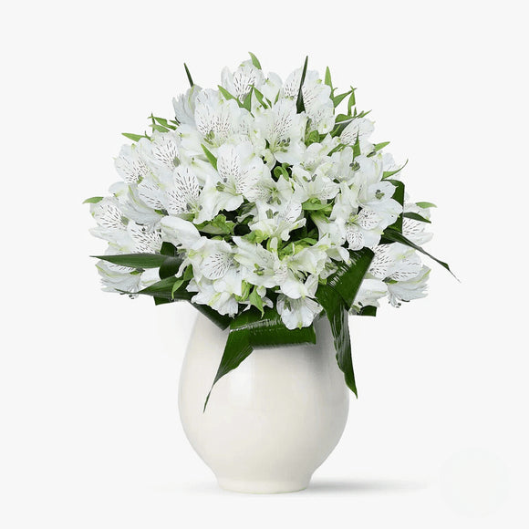 Buchet de 11 alstroemeria albe