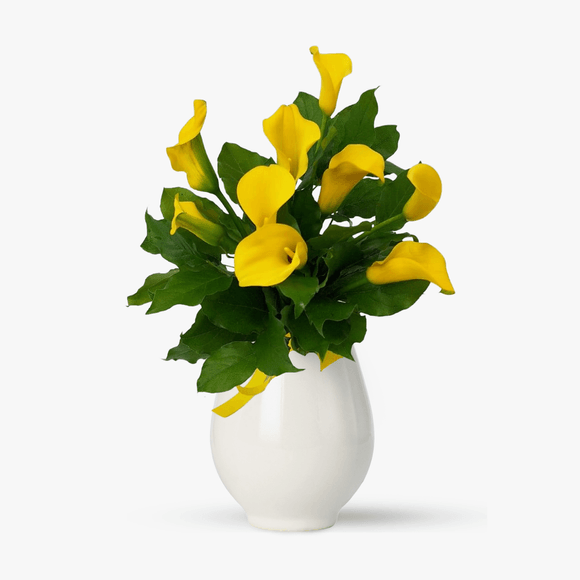 Buchet de 9 cale galbene
