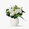 Buchet De 19 Cale Albe