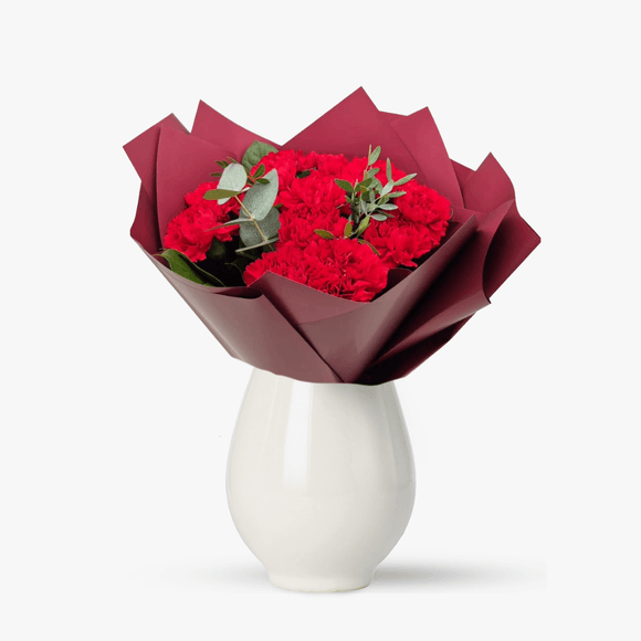 Buchet de 19 garoafe rosii