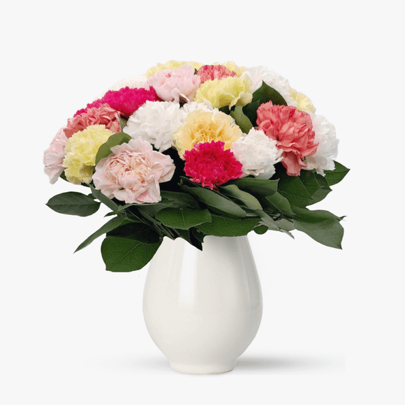 Buchet de 29 garoafe multicolore