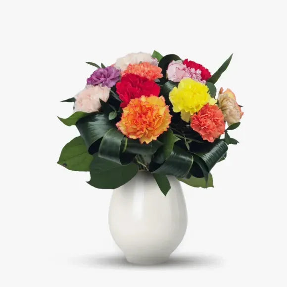 Buchet de 15 garoafe multicolore