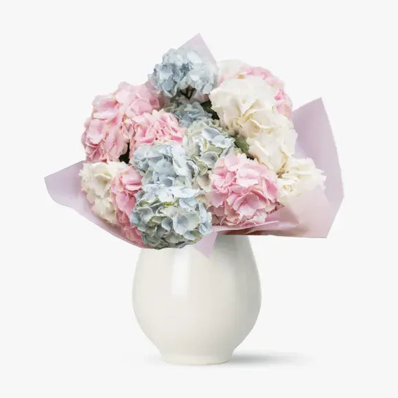 Buchet de hortensii multicolor