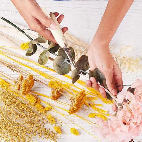 Florist Choice - | Livrare Flori Județul Călărași