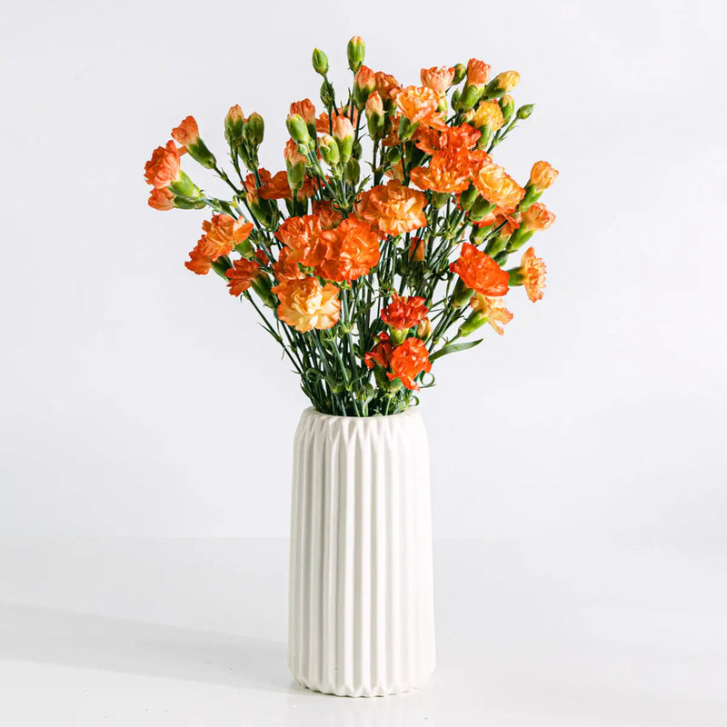 Roverbell Blossoms - | Livrare Flori Județul Călărași