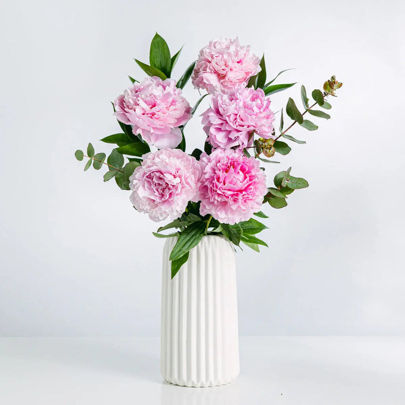 Peony Pop - | Livrare Flori Județul Călărași