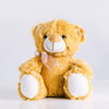 Cuddly bear - | Livrare Flori Județul Călărași