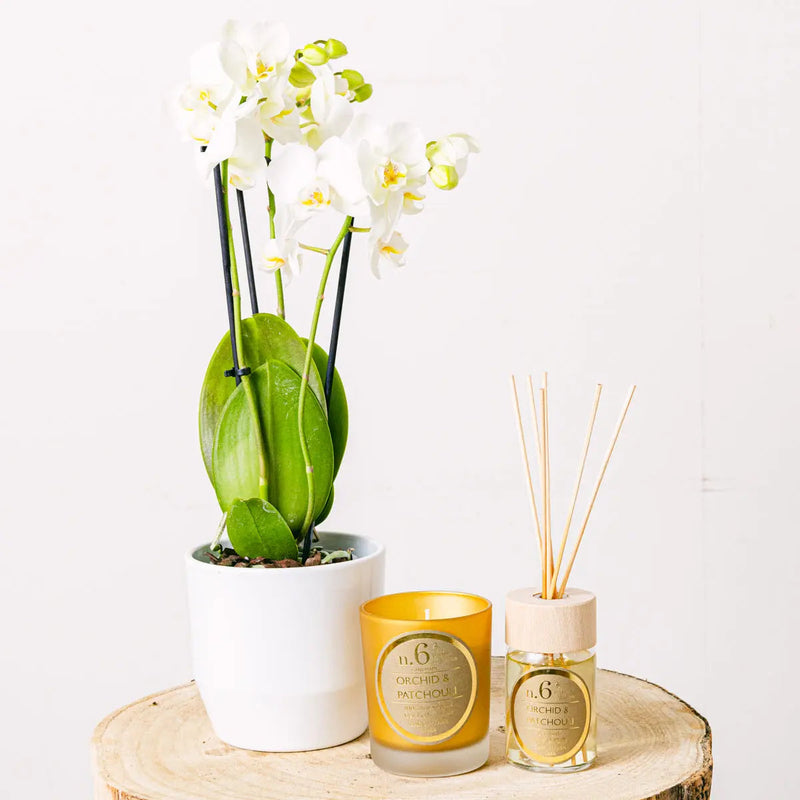 Mini Golden Charm - | Livrare Flori Județul Călărași