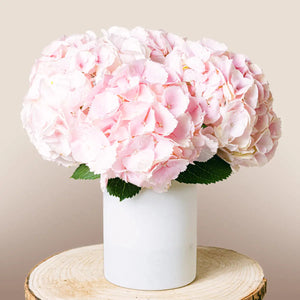 Romantic Poem Flora Queen Flora Queen