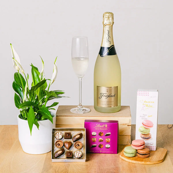 Celebrate Life - Peace Lilly Set - | Livrare Flori Județul Călărași