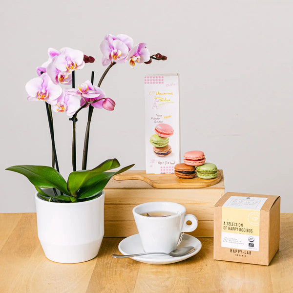 Mindful Set - Orhidee and Tea - | Livrare Flori Județul Călărași