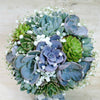 Buchet Cununie Mix Plante Suculente Si Floarea Miresei