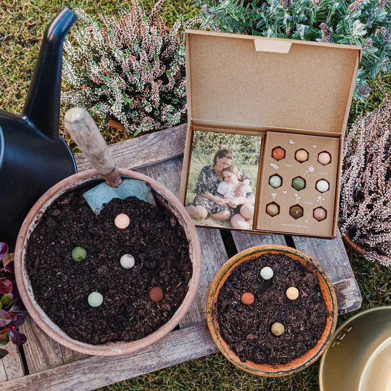 Wildflower seed bombs gift box with personalised card - | Livrare Flori Județul Călărași