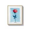 Single Trandafir bloom - | Livrare Flori Județul Călărași