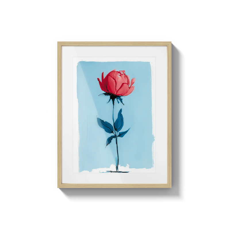 Single Rose Bloom Flora Queen Flora Queen