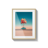 balloons-over-the-desert - | Livrare Flori Județul Călărași