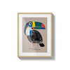 Colorline toucan - | Livrare Flori Județul Călărași