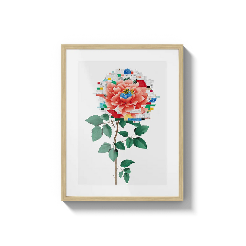 Rose Collage Flora Queen Flora Queen