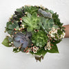 Buchet Cununie Mix Plante Suculente Si Floarea Miresei