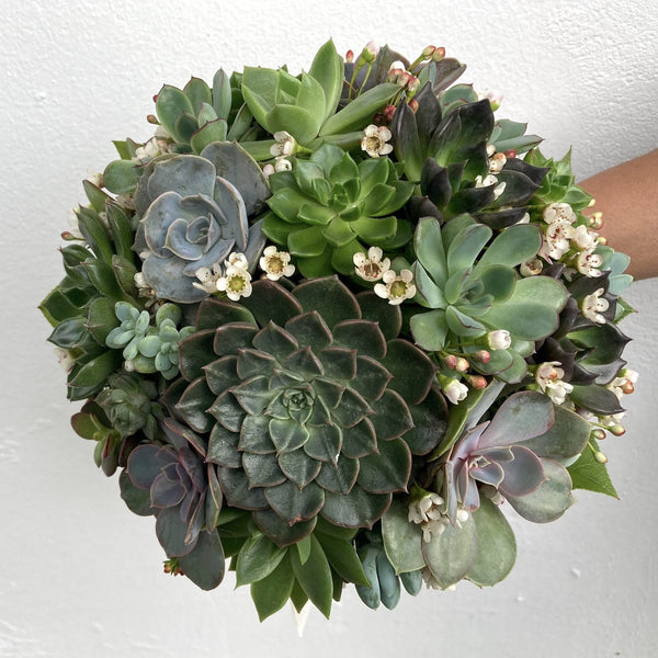Buchet Cununie Mix Plante Suculente Si Floarea Miresei
