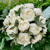 Buchet Cununie 19 Bujori Albi