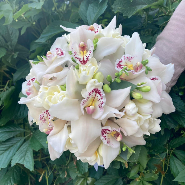 Buchet De Mireasa Cu Orhidee Cymbidium Si Frezii Albe