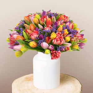 Premium Colorful Tulips Flora Queen Flora Queen