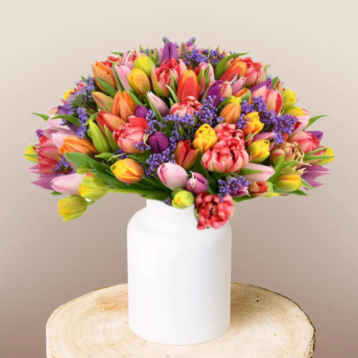 Premium Colorful Tulips Flora Queen Flora Queen